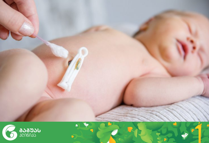 ჭიპლარის მოვლა